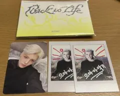 &team maki back to life