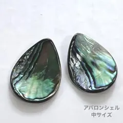ev588/シェル◇アバロン ウェーブドロップ　2個