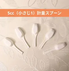 計量スプーン（小さじ1）5本セット