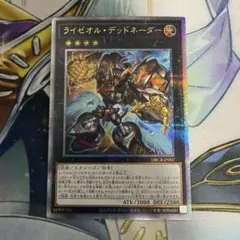 2026年最新】ライゼオルデッドネーダー 25の人気アイテム - メルカリ