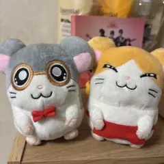 まいどくん　めがねくん　ぬいぐるみセット 再販】とっとこハム太郎 ぬいぐるみ 15種 - マイルストン | グループ