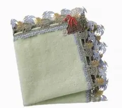 近沢レース店　恐竜　プテラノドン　トリケラトプス　刺繍　タオルハンカチ