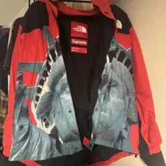 THE NORTH FACE Supreme マウンテンパーカー L 自由の女神