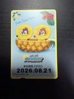 25周年ディズニーリゾートライン 1DAYパス チップとデール
