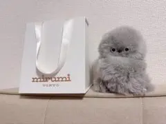 ❤️ mimi*✲プロフ必読*✲゜❤️様 ❤️ mimi*✲プロフ必読*✲゜さま❤️ - メルカリ