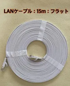 CAT6 LANケーブル 15m フラット