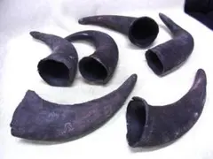 貴重 三線 バチ セット いろいろ七個まとめて - メルカリ