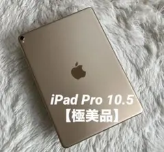 ラスト1台】iPad mini5 256GB 【すぐ発送】【付属品】 - メルカリ
