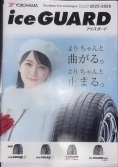 吉岡里帆 YOKOHAMA iceGUARD 8 クリアファイルとパンフレット - メルカリ