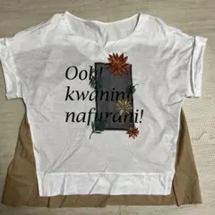 ㈱ジオン商事 IVISUTO Ｔシャツ 花and葉刺繍入り切替トップス