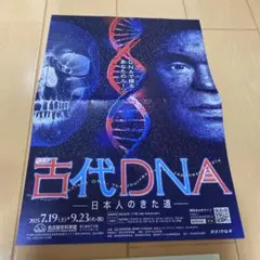 나고야시 과학관, 특별전 DNA 전시 티켓 고대 DNA