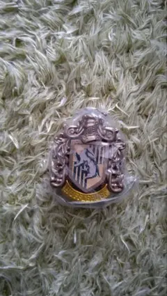 ハリー・ポッター　フォトフレームチャーム　ハッフルパフ