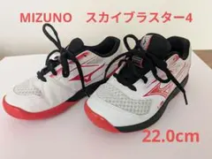 MIZUNO SKY BLASTER 4 バドミントンシューズ