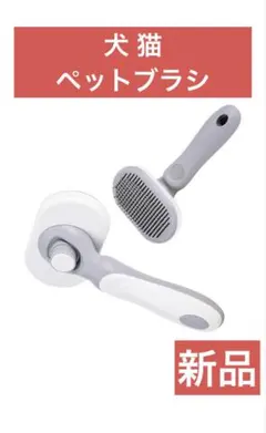 Item thumbnail for item 894f0ba3-fcdf-4381-848e-3c075d3337ff