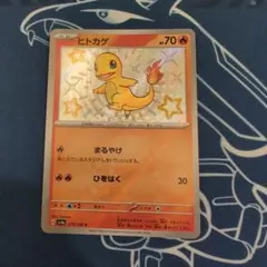 ヒトカゲ　sv4a 210/190