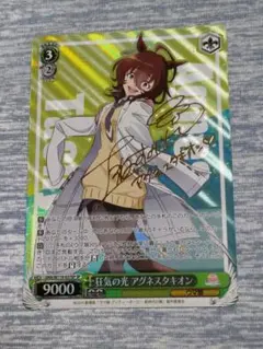 可能性のその先へ アグネスタキオン SP サイン psa10 ヴァイスシュヴァルツ 可能性のその先へ アグネスタキオン sp