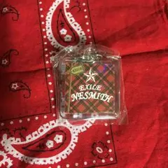 EXILE NESMITH ネーム