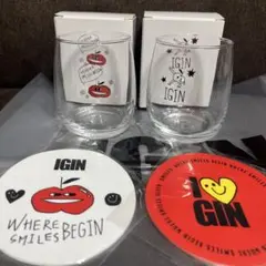 IGIN グラス2個 コースター２枚セット