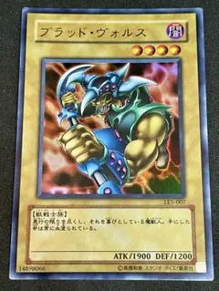 ブラッド・ヴォルス ブラッドヴォルス y-015619.jpg