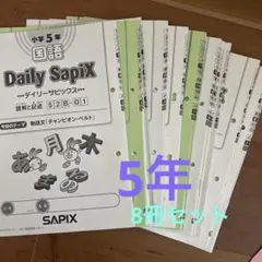 サピックス＊冬期講習・ウインターサピックス＊5年／国語＊全4回完全