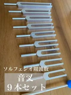 2026年最新】音叉 963の人気アイテム - メルカリ