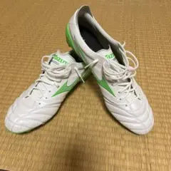 2026年最新】モレリアネオ2 mixの人気アイテム - メルカリ