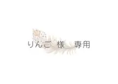 りんご 様専用ページ/◎名入れ