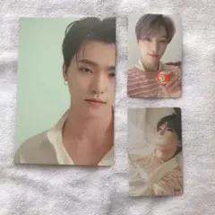 SEVENTEEN トレカ your choice ディノ