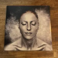 【オリジナル盤】Ellen Allien - Dust 盤質:EX++