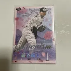 Item thumbnail for item 3e0eda4c-30dd-4581-9bd6-4f9f1ab5dca6