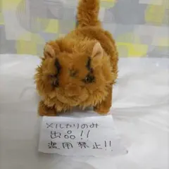 アビシニアン　茶猫　大きめ　ぬいぐるみ　メルカリのみ出品 2025年最新】アビシニアン ぬいぐるみの人気アイテム - メルカリ