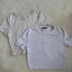 ZARA ホワイト クロップドTシャツ Mサイズ