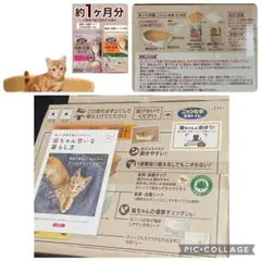 新品 ニャンとも清潔トイレ 本体 チップ シートのサムネイル