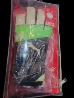 Item thumbnail for item 0094d3f3-a356-4ff0-8b07-efa987beea8d