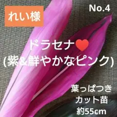 れい【土日は発送遅れる事があります】様 リクエスト 3点 まとめ商品