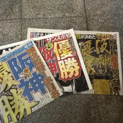 阪神タイガース 優勝記念新聞 号外 3種セット