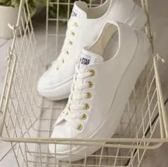 美品【CONVERSE】オールスター ライト ＰＬＴＳ カラーズ ＯＸ　24cm
