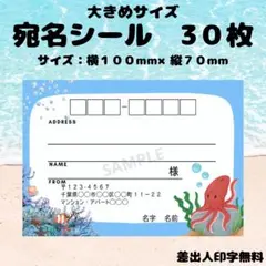 宛名シール　たこ　タコ　アクアリウム　大きめサイズ　30枚