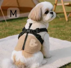 Item thumbnail for item 16f74445-d82c-4889-88dd-55d5f2ab6fb7