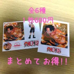 ワンピース フォトカード&ステッカー