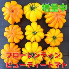 harumina様 リクエスト 2点 まとめ商品