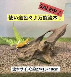 Item thumbnail for item 8f6ab39c-0d2d-4c67-8508-0c81fb7407f0