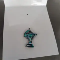 【1点のみ】ディズニーシー　25周年　ピンコレクション