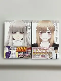 その着せ替え人形は恋をする(13)（14）　2冊セット