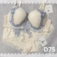 新品】wacoal サルート 06 ブラ ソングセット D75M OV - メルカリ