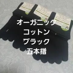 ３足組♪オーガニックコットン　 五本指ソックス(23～25)