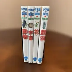 Item thumbnail for item bd08d23e-f2d1-4919-8245-c2bc379b4028