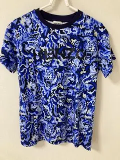 Item thumbnail for item d5c38226-e12b-4cf4-b516-d89769fceb50