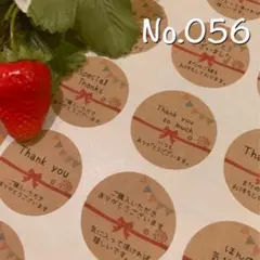 【A-WD様専用】速達便！