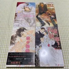 BL小説まとめ売り 4冊セット - メルカリ
